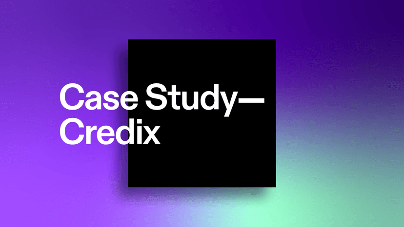 Case Study: Credix and credit