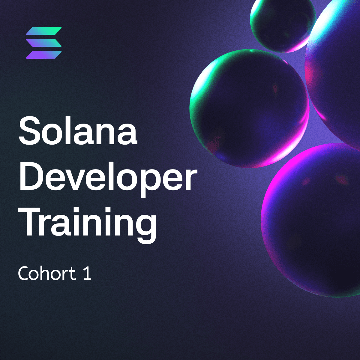 Solana Developer Training: Cohort 1