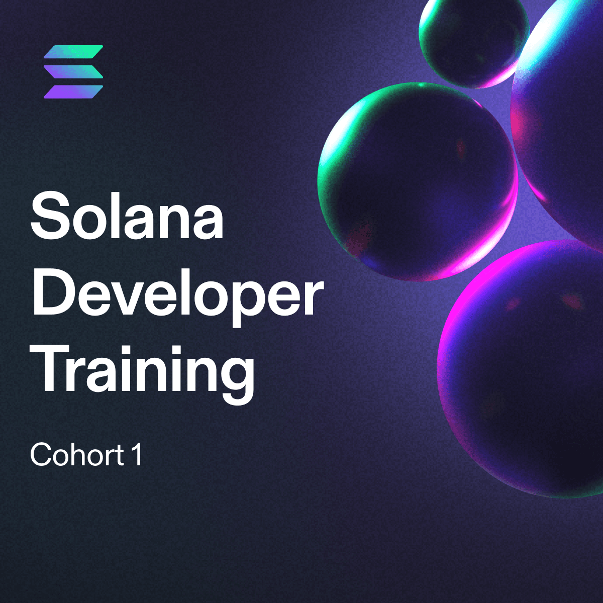 Solana Developer Training: Cohort 1