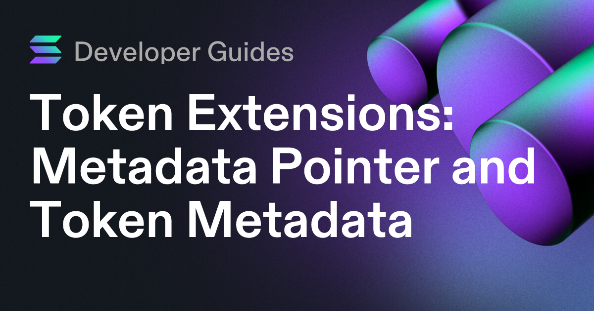 How to use the Metadata Pointer extension
