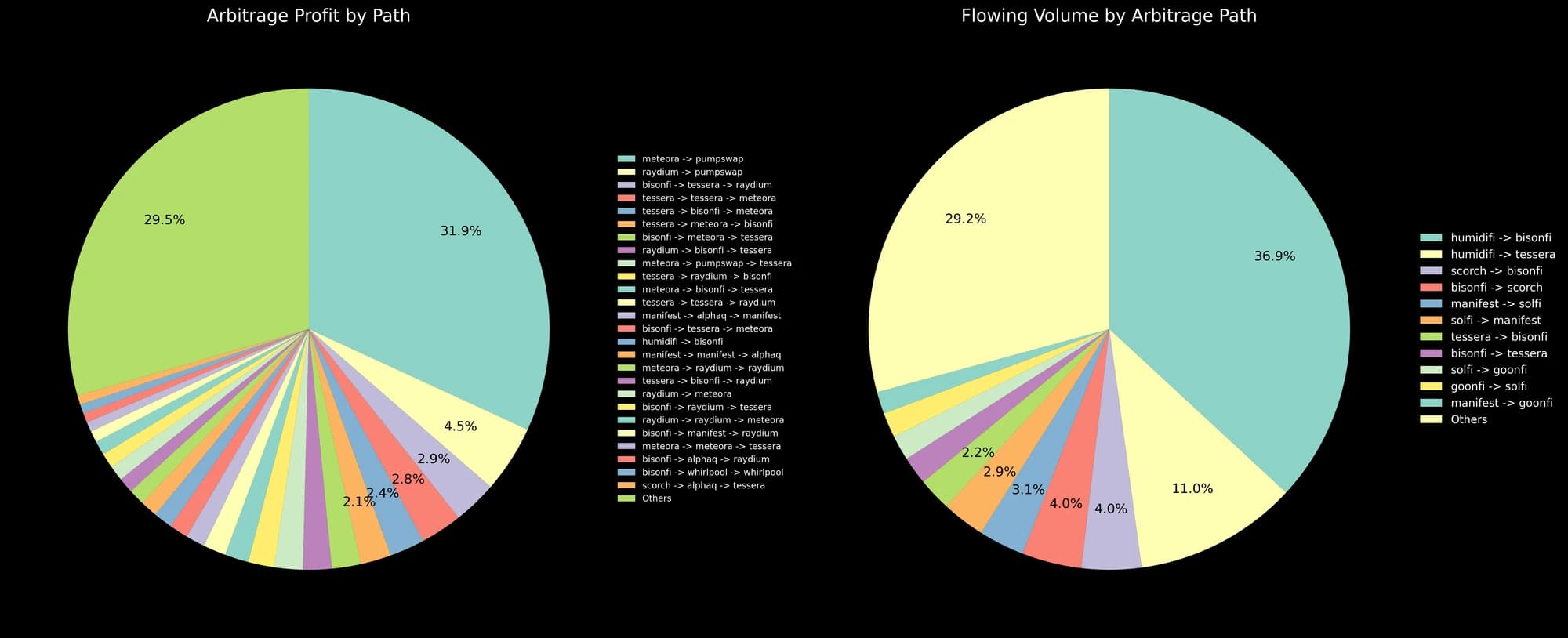 Composition of observed atomic arbitrage profit and flowing volume by route.